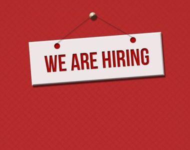 BHBIA job opportunity - exciting contract based role