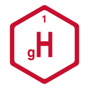 groupH Ltd Logo