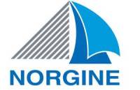 Norgine Logo